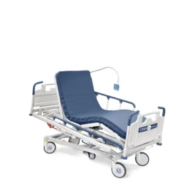 Chariots brancard Oneday